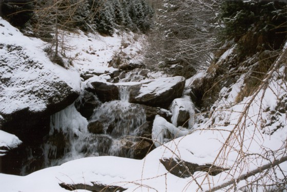 Impressionen Gasthof Waldruhe und Umgebung